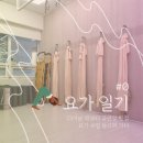 세영아쉬탕가요가 | [취미▸운동] 동묘 앞 바른요가 필라테스(플라잉요가, 아쉬탕가, 테라피 등) 6개월 후기