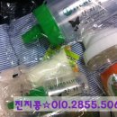 매일매일허브다이어트
