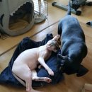 콩이묘묘 이미지