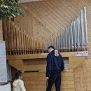 칠갑산로 | 충남 청양 아이와 가 볼 만한 곳 청양목재문화자연사체험관 예약 주차 체험