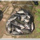 블랙세인트 이미지