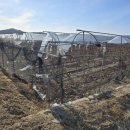 솔라공인중개사사무소 이미지