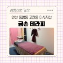 금손 | 안산 중앙동 고잔동 마사지 샵 테라피 금손테라피 이용후기