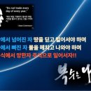 7월 2일 직장인문자반 성적보고 / 대원전선 8% 수익 / 스트라드비젼 6% 수익 이미지