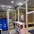 눈꽃대패 구산점 이미지