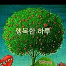 갈월서로 이미지
