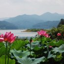 송영농장 이미지