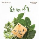 비타민베이커리 이미지