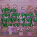부평우일 이미지