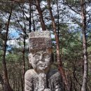 진주 수곡 팔각형 분묘군 이미지