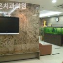 조은치과의원 이미지