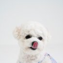 코너스튜디오