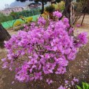 송현골프클럽 이미지