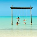 몰디브커피 이미지