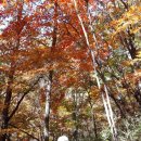 중산리 주차장 이미지