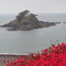 솔섬(송도) 네이버블로그