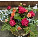 모세마취통증의학과의원 이미지