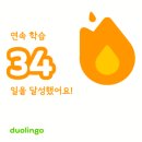 0순위 왕초보 영어회화 Step2 | 듀오링고 스페인어 꼼꼼한 한 달 후기 (말해보카, 스픽 비교 + 정보)