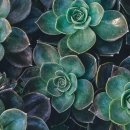초록색 변 설사: 성인과 유아의 짙은 녹색변 원인과 대처 방법 이미지
