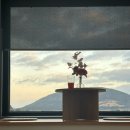 꼬맹스테이 | [제주] 너무좋았던 제주풀빌라 키즈펜션 꼬맹스테이