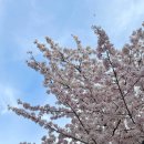 송해보건지소 이미지