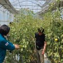 대동면행정복지센터 이미지