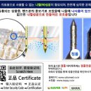 멀베리