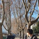 제방변(덕두마을) | 밀라노 근교 여행✨ 코모호수 벨라지오 &amp; 레코 완벽 당일치기 (바렌나역 루트 꿀팁 대방출!) 🚂🛥️☕