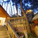 캐빈타운(자연의 향기) 이미지