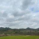 하리 민박 이미지