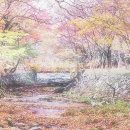 빗질해줄개 이미지