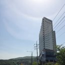 더 포라 수영장 | 거제도 아이와함께 부모님과 함께 여행할 호텔 추천 더포라스위츠 코너스위트 내돈내산 후기