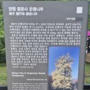 명산프라자 앞 | 경기 양평 용문산 등산코스 후기 | 용문사 제1코스·가섭봉 원점회귀 난이도, 소요시간, 블랙야크...