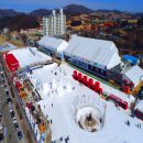 송천목장 | 2026 평창 대관령 눈꽃축제 일정 완벽정리! 양떼목장 겨울 코스 꿀팁 포함
