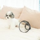 씨엔비헬스케어 이미지