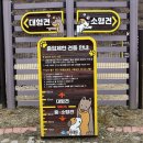 놀아보개 이미지
