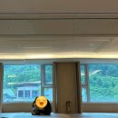 GS25방이파크점 | 정선파크로쉬리조트 힐링여행2(로쉬카페,조식후기)