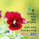 "필리핀 여행(1일차)" / 'Sillang'의 농수산물시장 구경 이미지