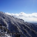강산