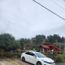 로그밸리 | 제주 아이랑 숙박하기 좋은 펜션, 승마체험도 가능! (ft.로그밸리펜션)