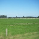 대평원목장 이미지