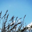 청도 행정사사무소 이미지