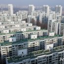 강남주민공인중개사사무소 이미지