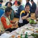 신토불이식당 이미지