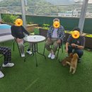 시온휴요양원 이미지