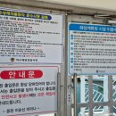 아그리나 B 이미지