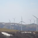 삼양축산 이미지