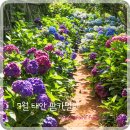 로로팜