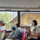 상아어린이집 | 에버랜드 오픈런없이 로스트밸리 가능한 리버트레일 체험 후기 예약 방법