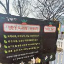 강일농장 네이버블로그